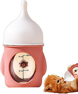 Kitten Feeding Bottle