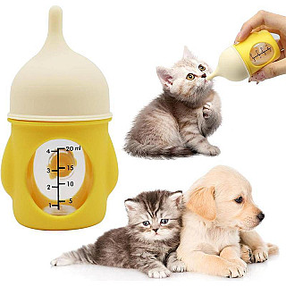 Kitten Feeding Bottle