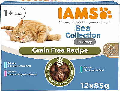 IAMS اقیانوس مختلط
