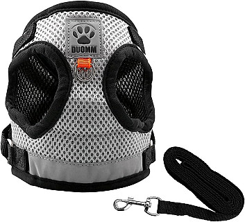 Dog Harness