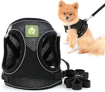 Köpek Tasması