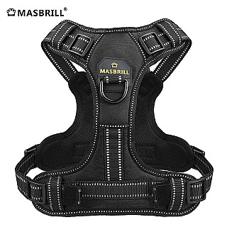 Masbrill Köpek Tasması