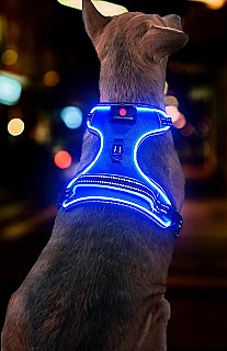 LED Kablo Demeti
