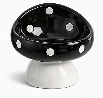 Ceramic Bowl