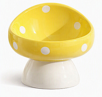 Ceramic Bowl