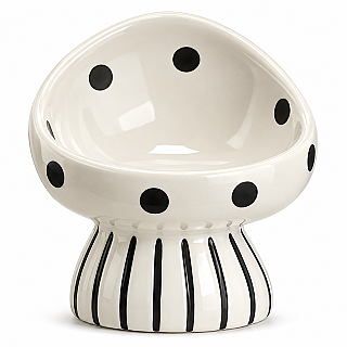 Ceramic Bowl