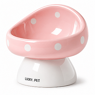 Ceramic Bowl