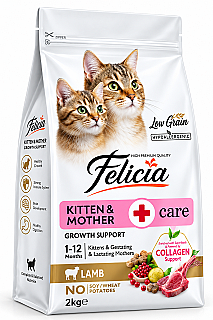 felicia بچه گربه و مادر با بره