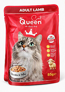 Queen  بره