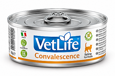 Vetlife دوره نقاهت