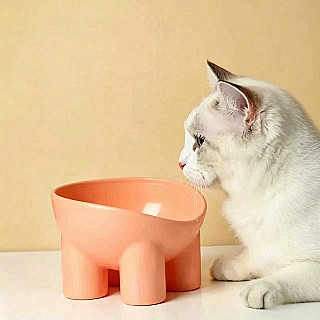 Food Bowl