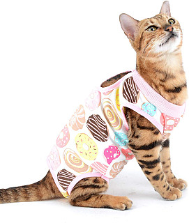 Cat Surgery Recovery Suit