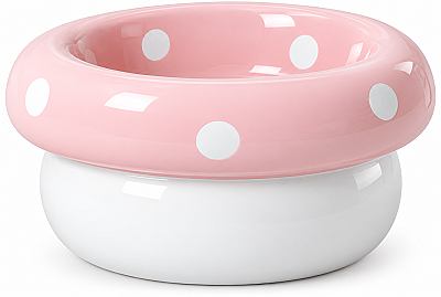 Ceramic Bowl