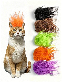 Pet Wig