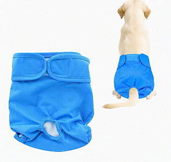 Köpek Bezi