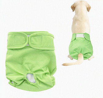 Köpek Bezi