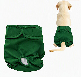 Köpek Bezi