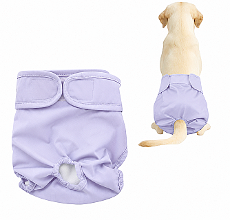 Köpek Bezi