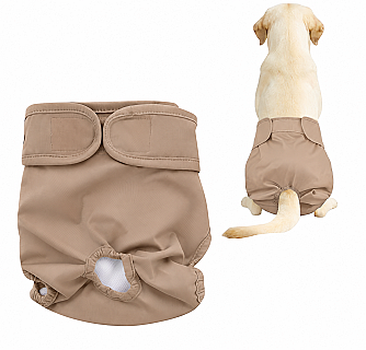 Köpek Bezi