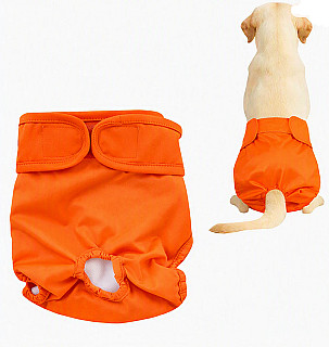 Köpek Bezi
