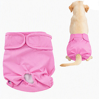 Köpek Bezi