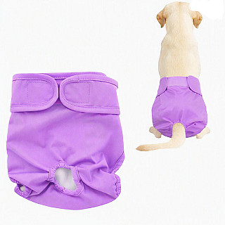 Köpek Bezi
