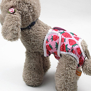Köpek Bezi
