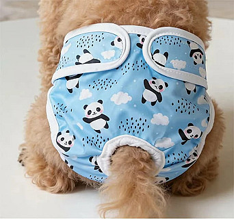 Köpek Bezi
