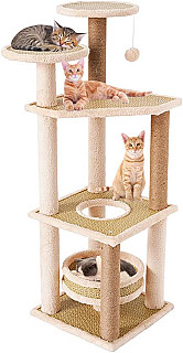 Cat Scratcher & Bed  (Used)