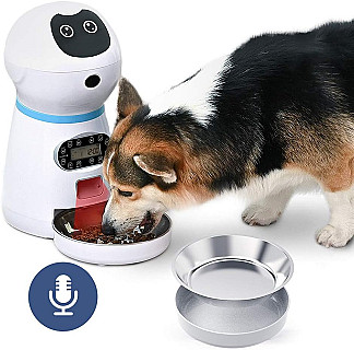 Automatic Cat Feeder (Used)