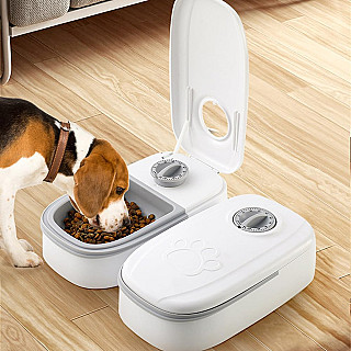 Automatic Cat Feeder