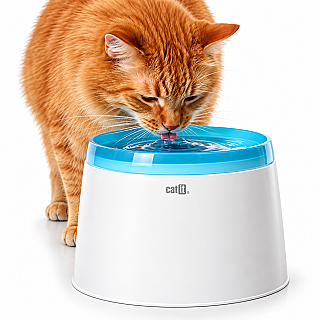 Catit Water Fountain
