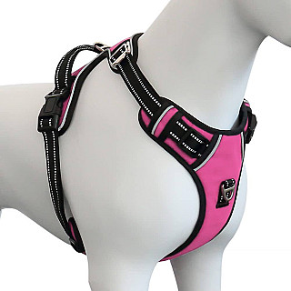 Dog Harness