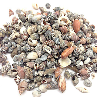 Aquarium Stone