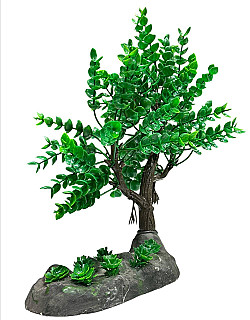 Aquarium Decor