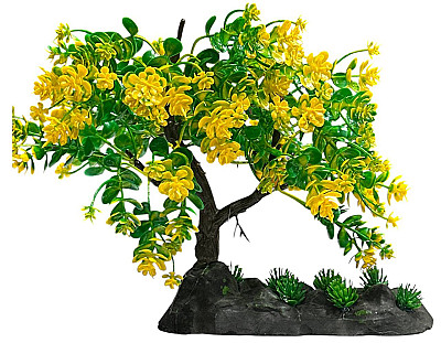 Aquarium Decor