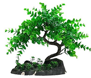 Aquarium Decor