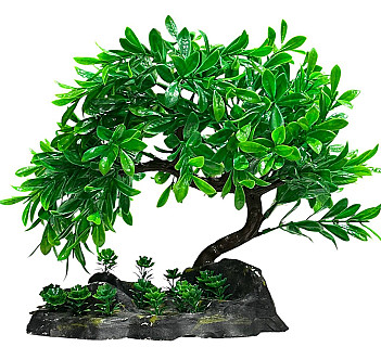 Aquarium Decor