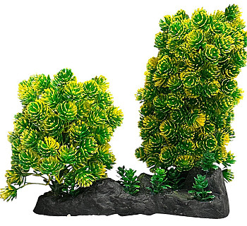 Aquarium Decor