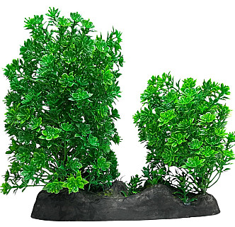 Aquarium Decor