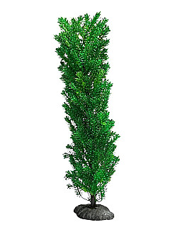 Aquarium Decor