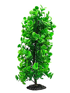 Aquarium Decor
