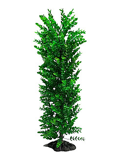 Aquarium Decor