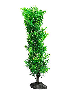Aquarium Decor