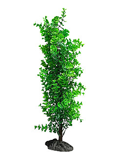 Aquarium Decor