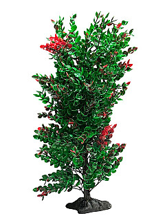Aquarium Decor
