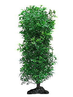 Aquarium Decor