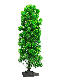 Aquarium Decor