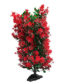 Aquarium Decor