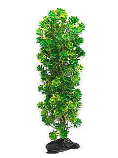 Aquarium Decor